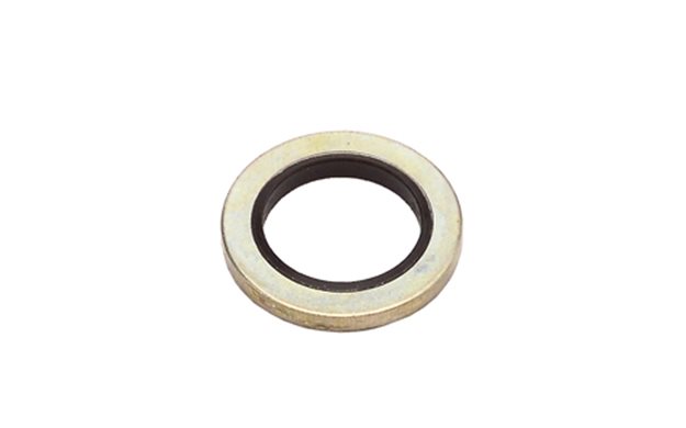 Sealing Ring M12 (V) 